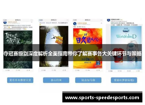 夺冠赛级别深度解析全面指南带你了解赛事各大关键环节与策略